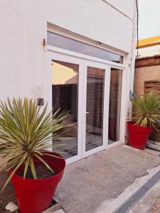 twee potplanten voor een deur bij Ateka Dax appartement in Dax