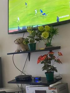 a television on a shelf with flowers and a teddy bear at Ikhaya Guesthouse in Empangeni