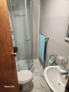 a bathroom with a shower and a toilet and a sink at Cabaña Full Equipada Sector Norte in Punta Arenas