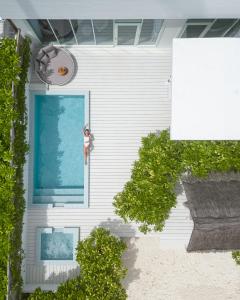 Bazén v ubytování Malahini Kuda Bandos Resort nebo v jeho okolí + 37 fotografií