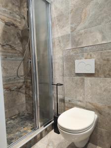 a bathroom with a toilet and a shower at Bon Pasteur in Aix-en-Provence