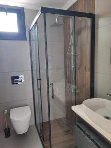 a bathroom with a shower and a toilet and a sink at Kervan Saray Loft apartment in Kérynia +12 photos