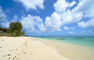 une plage de sable avec deux bateaux dans l'eau dans l'établissement Pointe aux Canonniers Beach Luxury Apartment, à Pointe aux Cannoniers