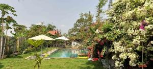 a backyard with a swimming pool and some flowers at La Vie Khmer in Phumĭ Prâlĕch Sânda