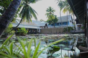 a pond with lilies in a yard with palm trees at Luang Prabang Villa Oasis in Luang Prabang