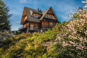 Zahrada ubytování VisitZakopane - Willa Karina