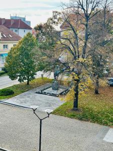Fotografie z fotogalerie ubytování Apartmán u Masaryka v Hodoníně