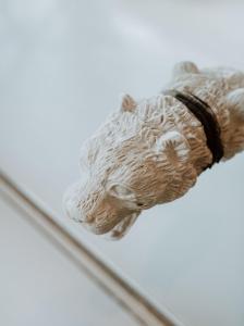 a teddy bear wearing a collar laying on a table at The Click Clack Hotel Bogotá in Bogotá