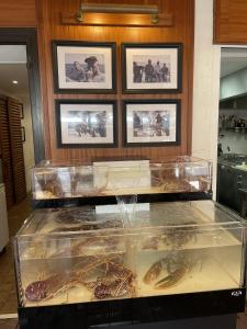 a display case filled with different types of seafood at L'Oustaou De Porquerolles in Porquerolles