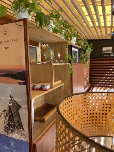 a restaurant with a table and a chair in a room at L'Oustaou De Porquerolles in Porquerolles