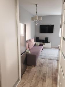 a living room with a couch and a television at Tauzen Apartaments 16 in Katowice