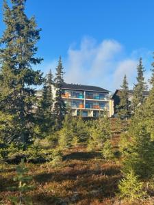 a large house on top of a hill with trees at Arctic Hill Apartment Ylläs in Ylläs