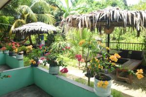 Raja Ampat Sandy Guesthouse外面的花园