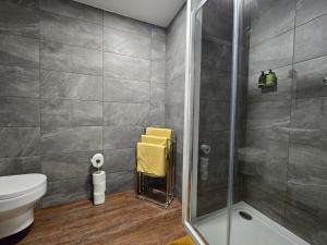 a bathroom with a shower and a toilet at Two bedroom flat in Cardiff Bay with roof terrace in Cardiff
