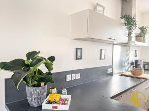 Kuchyň nebo kuchyňský kout v ubytování Duplex Élégant et Spacieux