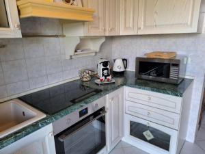W kuchni znajduje się blat z kuchenką mikrofalową. w obiekcie Casa Grace Pula w Puli