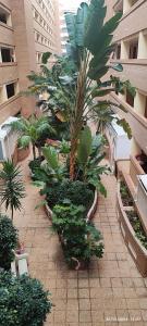 Fotografie z fotogalerie ubytování Costa Caribe I World, Classic - ServHouse v destinaci Oropesa del Mar