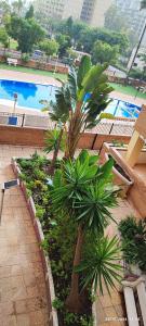 Bazén v ubytování Costa Caribe I World, Classic - ServHouse nebo v jeho okolí