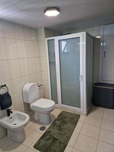a bathroom with a toilet and a shower and a sink at Casa Vieira in Fajã da Ovelha +17 photos
