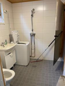 a bathroom with a shower and a sink and a toilet at Arctic Lodge Hetan Kota in Enontekiö +96 photos