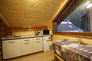 Kuchyň nebo kuchyňský kout v ubytování Arnika Hotel