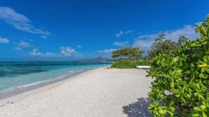 Ảnh trong thư viện ảnh của Magnificent Waterfront Villa ở Vosburg