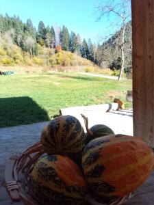 Příroda nedaleko bed and breakfast