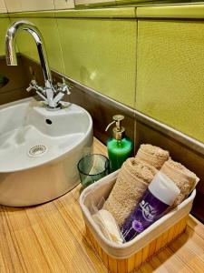 Un baño con lavabo y cesta de toallas. en Comfort Place Brno, Hybesova, en Brno