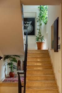 Foto sihtkohas Thelavi asuva majutusasutuse Seventeen Rooms galeriist