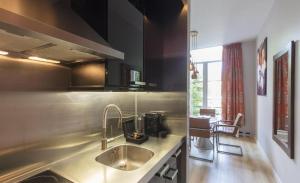 阿姆斯特丹荷兰大师短期出租公寓式酒店的带水槽和台面的厨房