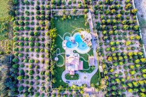 Bazén v ubytování Waterfall Zoo Lodge Deluxe Suite 1 nebo v jeho okolí