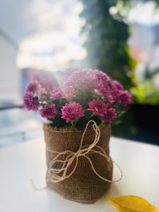 Zahrada ubytování Eisberg Hotel Schwanen