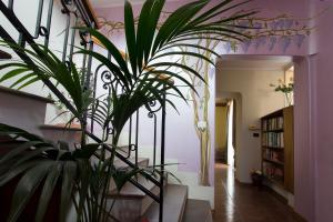 a potted plant in a living room at Vibo In Centro in Vibo Valentia