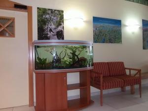 - un grand aquarium dans une chambre avec un canapé et une chaise dans l'établissement Hotel Vezzano, à Vezzano