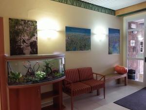 a waiting room with a fish tank and a chair at Hotel Vezzano in Vezzano