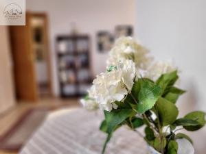 Zdjęcie z galerii obiektu Apartment Leonore w mieście Bad Mitterndorf