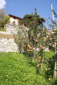 En hage utenfor Agriturismo Au Jardin Fleuri