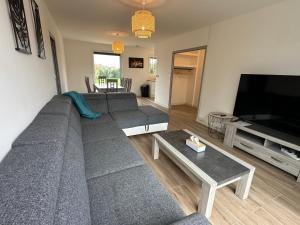 a living room with a gray couch and a television at Villa ISKA - 6Velos-Calme-Piscine-Moderne-Centre-Port-Plages in La Tremblade
