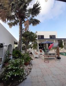 Zahrada ubytování HARMONY Hotel Hostel Aruba