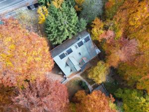 Ảnh trong thư viện ảnh của Pensiunea Lac ở Arefu