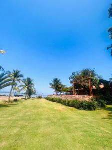 a field with palm trees and a building on the beach at Casa da Ilha in Ribeirão Claro +8 photos