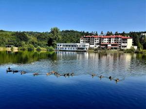 a group of ducks on the water in front of a building at Rebeka Luxury Apartment in Tryavna