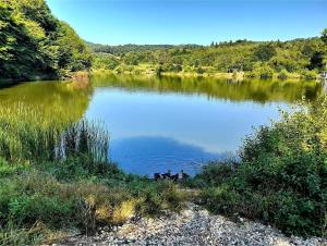 a group of ducks swimming in a lake at Rebeka Luxury Apartment in Tryavna