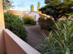 Κήπος έξω από το Le tropical 2 chambres