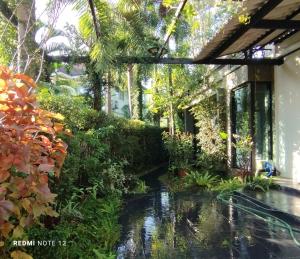 a garden with a pond in front of a building at CHILLI's Homes2 in Chiang Mai