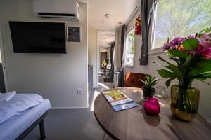 EuroParcs Het Amsterdamse Bos的电视和/或娱乐中心