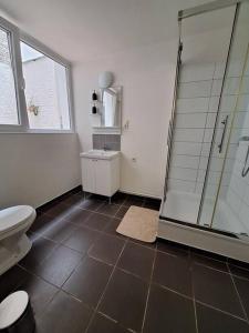 ein Badezimmer mit Dusche und Toilette in der Unterkunft Le Duplex-suite Joséphine in Brüssel
