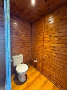a bathroom with a toilet in a wooden wall at Refúgio dos Platanus in Campos do Jordão +69 photos