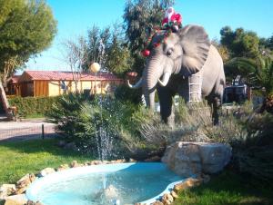 Fotografie z fotogalerie ubytování Camping l'Alqueria v destinaci Gandía