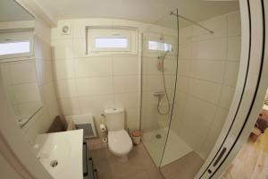 a bathroom with a toilet and a glass shower at Le Montarrouye Appartement pour 2 à 6 personnes in Bagnères-de-Bigorre